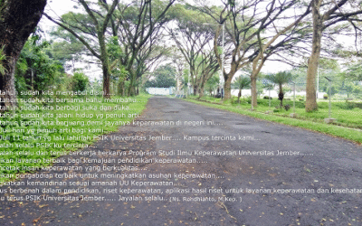 11 TAHUN USIA PSIK UNIVERSITAS JEMBER